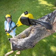 Lawn Maintenance Plans in Florin, CA